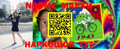 стаф Аргун