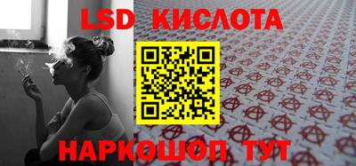 стаф Аргун