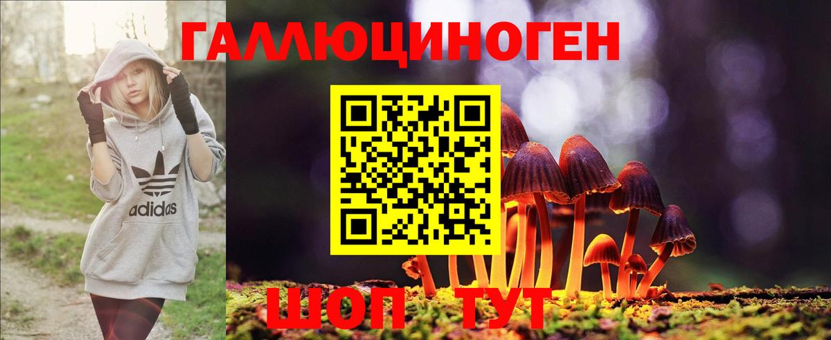 продажа наркотиков  Псилоцибиновые грибы Psilocybine cubensis  Вход с VPN  Великий Новгород 